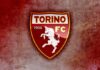 Calciomercato Torino