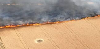 Campi di grano a fuoco, ecco dove e le tragiche conseguenze