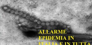 Allarme influenza ed epidemia in Italia, la più grande d’Europa