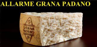 Allarme Grana Padano, massima attenzione