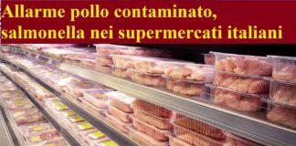 Allarme pollo contaminato, salmonella nei supermercati italiani