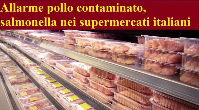 Allarme pollo contaminato, salmonella nei supermercati italiani