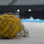 water-polo-ball-g0c79655b6_1920