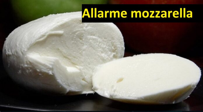 Allarme mozzarella