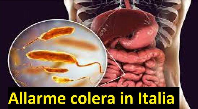 Allarme colera in Italia, attivato protocollo